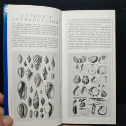 SHELLS OF THE WORLD รูปที่ 7