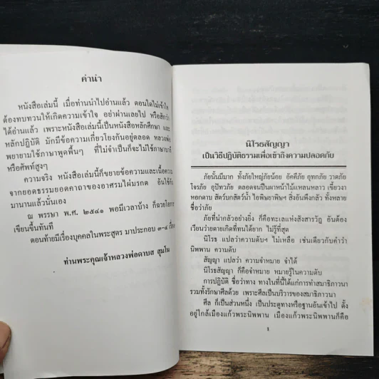 นิโรธสัญญาทางสู่ที่ปลอดภัย รูปที่ 6