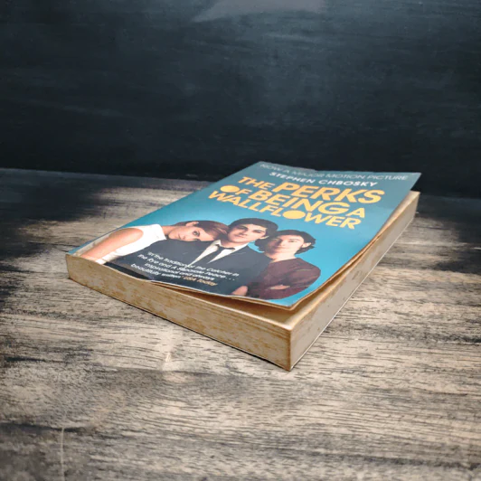 The Perks Of Being A Wallflower - Stephen Chbosky รูปที่ 4