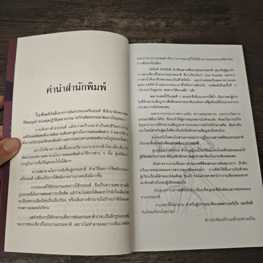 เสือภูเขาแรมทาง - อภินันท์ บัวหภักดี รูปที่ 8