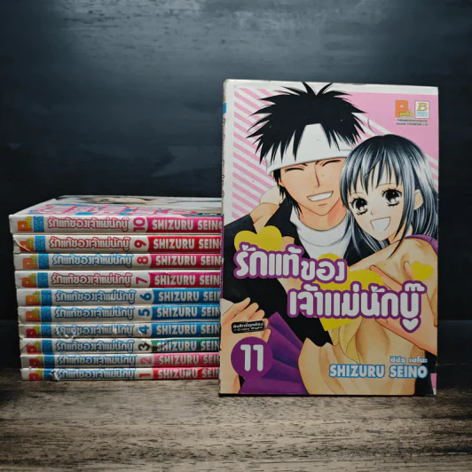 รักแท้ของเจ้าแม่นักบู๊ เล่ม 1-11 รูปที่ 1