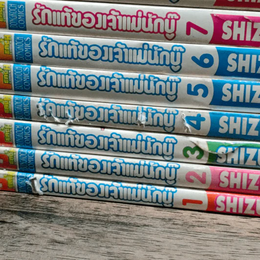 รักแท้ของเจ้าแม่นักบู๊ เล่ม 1-11 รูปที่ 3