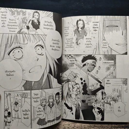 รักแท้ของเจ้าแม่นักบู๊ เล่ม 1-11 รูปที่ 8