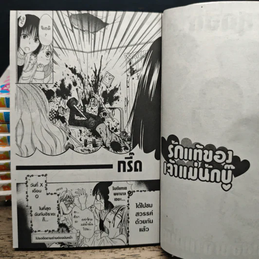 รักแท้ของเจ้าแม่นักบู๊ เล่ม 1-11 รูปที่ 9