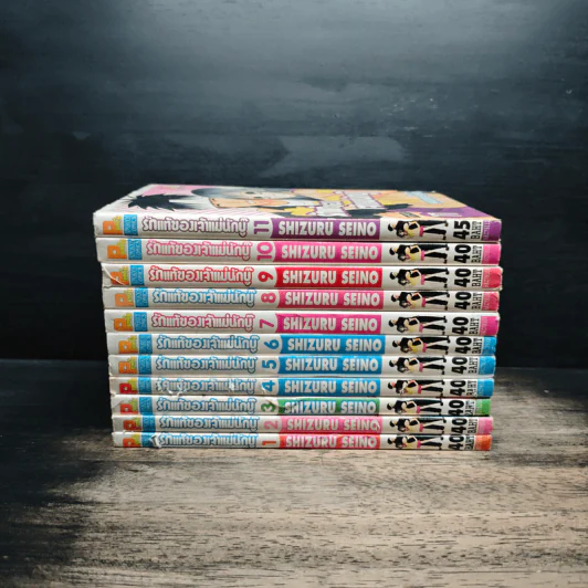 รักแท้ของเจ้าแม่นักบู๊ เล่ม 1-11 รูปที่ 2
