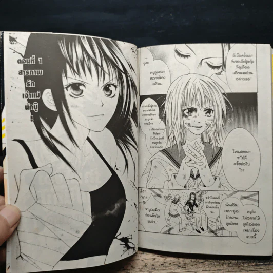 รักแท้ของเจ้าแม่นักบู๊ เล่ม 1-11 รูปที่ 7
