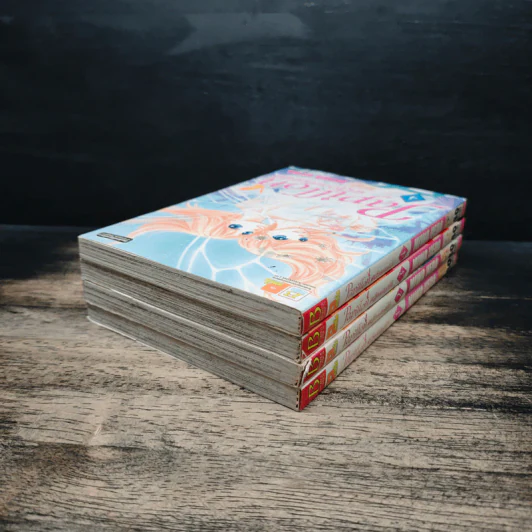 Papillon ผี้เสื้อกับดอกไม้ เล่ม 1-4 รูปที่ 4