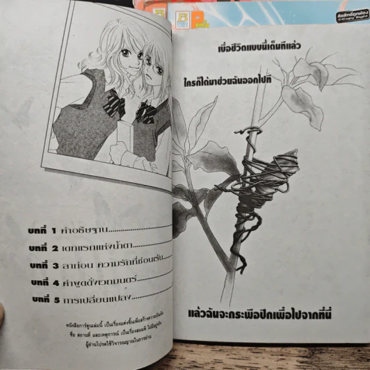 Papillon ผี้เสื้อกับดอกไม้ เล่ม 1-4 รูปที่ 6