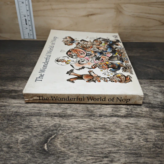 The Wonderful World of Nop รูปที่ 2