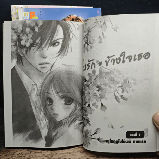 เก็บรักข้างใจเธอ 3 เล่มจบ รูปที่ 6