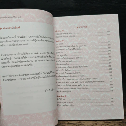 คู่มือคนเมือง ฉบับโลกวิจิตร - ชานี รูปที่ 7