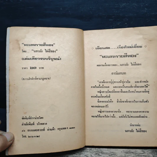 ทะเลทรายสีทอง - นภาลัย ไผ่สีทอง รูปที่ 6