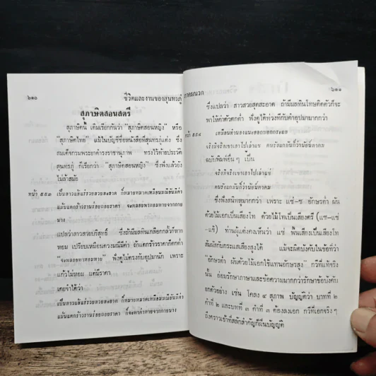 ชีวิตและงานของสุนทรภู่ รูปที่ 8