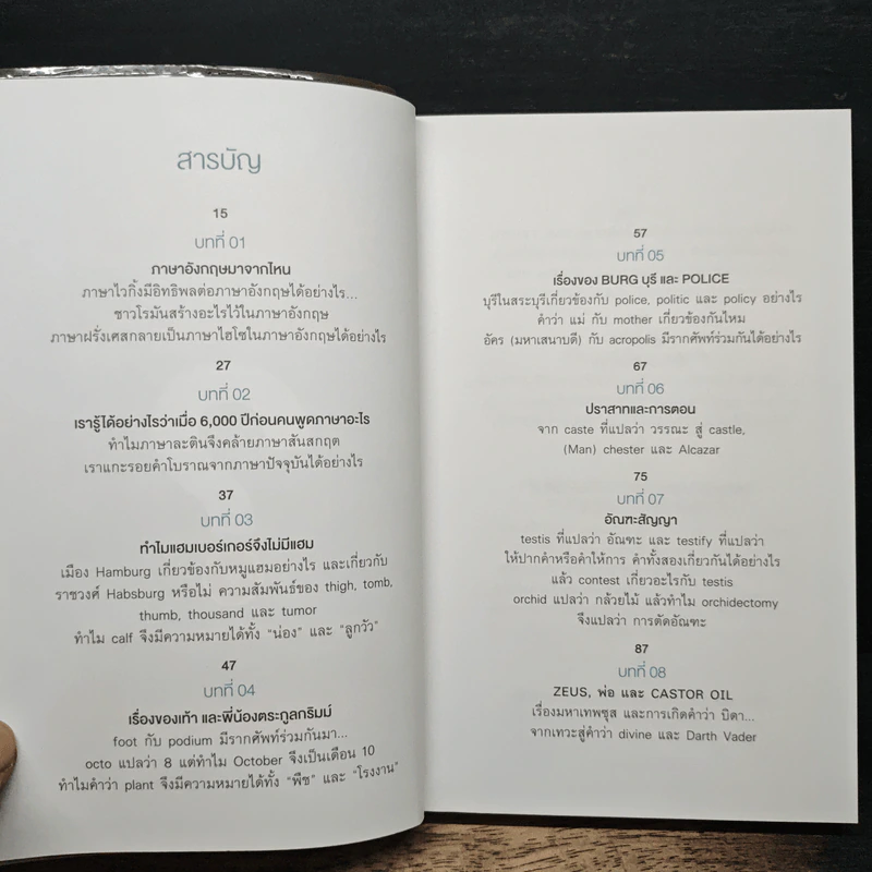 ทำไมแฮมเบอร์เกอร์จึงไม่มีแฮม - นพ.ชัชพล เกียรติขจรธาดา รูปที่ 7