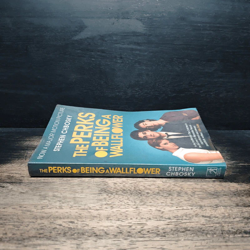 The Perks Of Being A Wallflower - Stephen Chbosky รูปที่ 3
