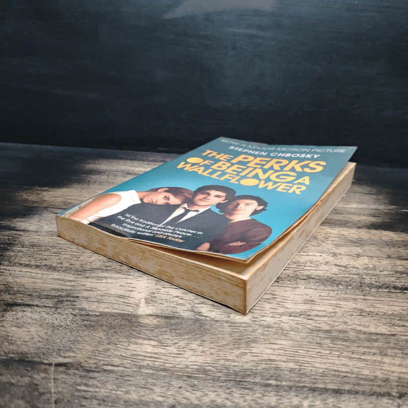 The Perks Of Being A Wallflower - Stephen Chbosky รูปที่ 4