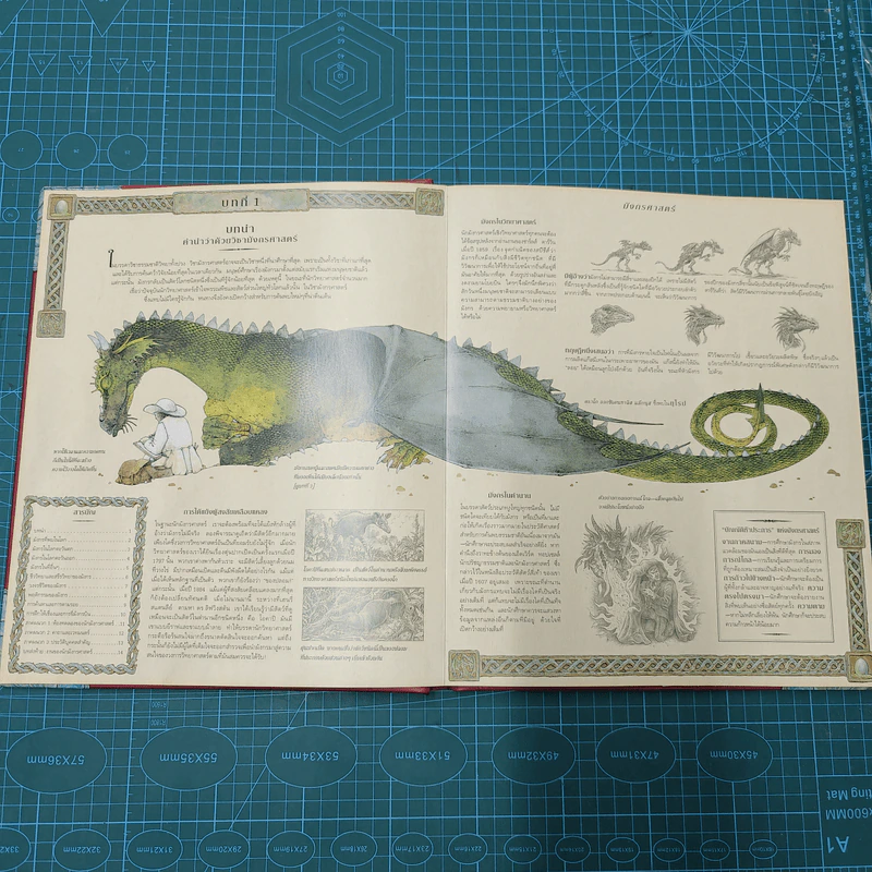 มังกรศาสตร์ ตำราว่าด้วยมังกรฉบับสมบูรณ์ Dragonology - ดร.เออร์เนสต์ เดรก, ดูกัลด์ สเตียร์ รูปที่ 8