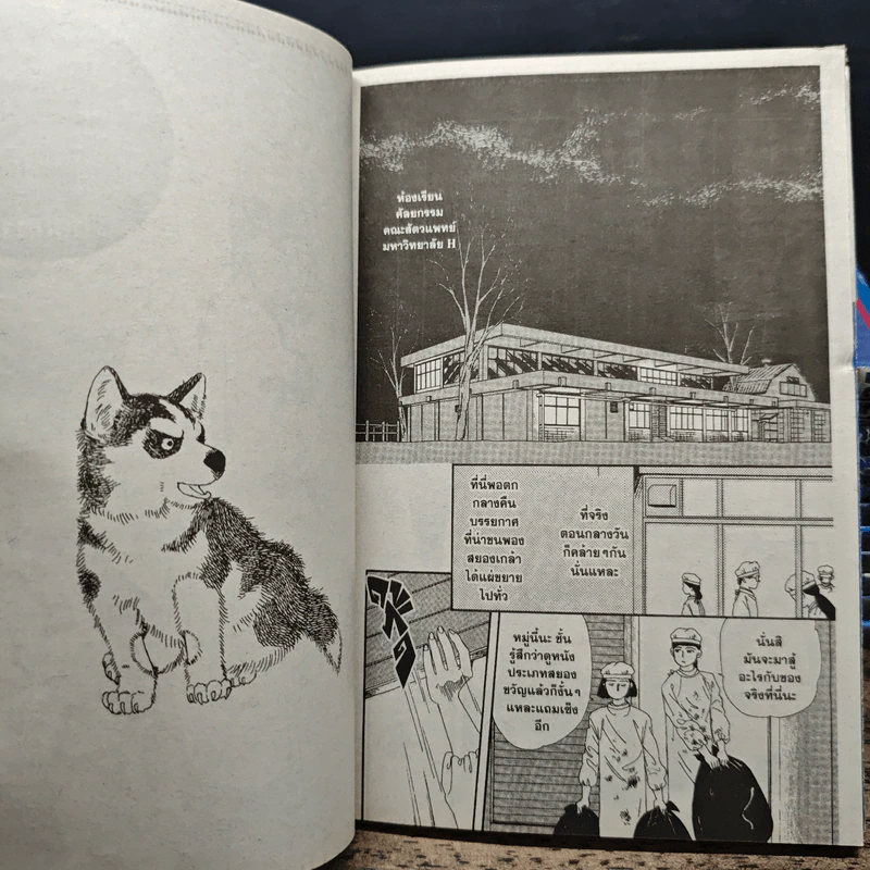 ยุ่งชะมัด...เป็นสัตวแพทย์ 12 เล่มจบ - โนริโกะ ซาซากิ (Noriko Sasaki) รูปที่ 7