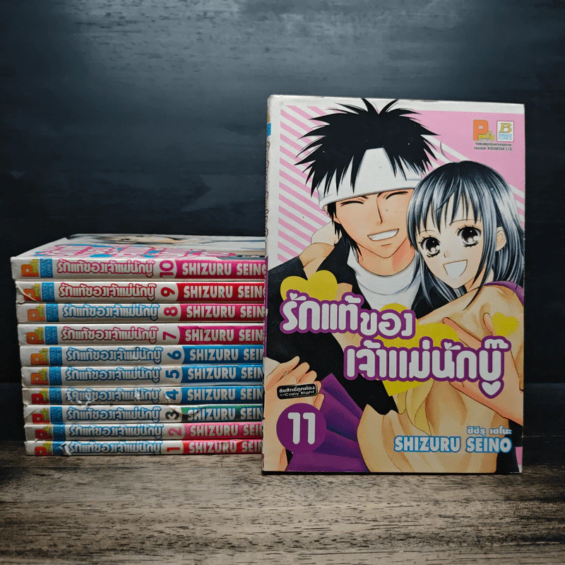 รักแท้ของเจ้าแม่นักบู๊ เล่ม 1-11 รูปที่ 1