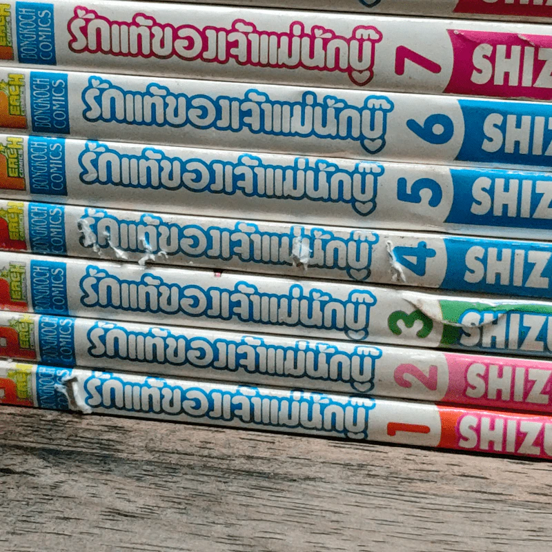 รักแท้ของเจ้าแม่นักบู๊ เล่ม 1-11 รูปที่ 3