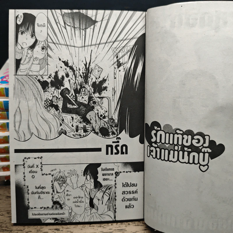 รักแท้ของเจ้าแม่นักบู๊ เล่ม 1-11 รูปที่ 9