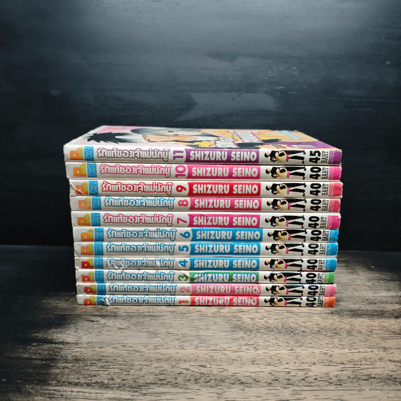 รักแท้ของเจ้าแม่นักบู๊ เล่ม 1-11 รูปที่ 2