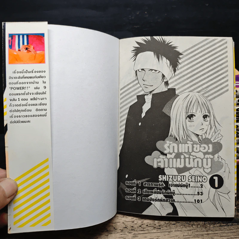 รักแท้ของเจ้าแม่นักบู๊ เล่ม 1-11 รูปที่ 6