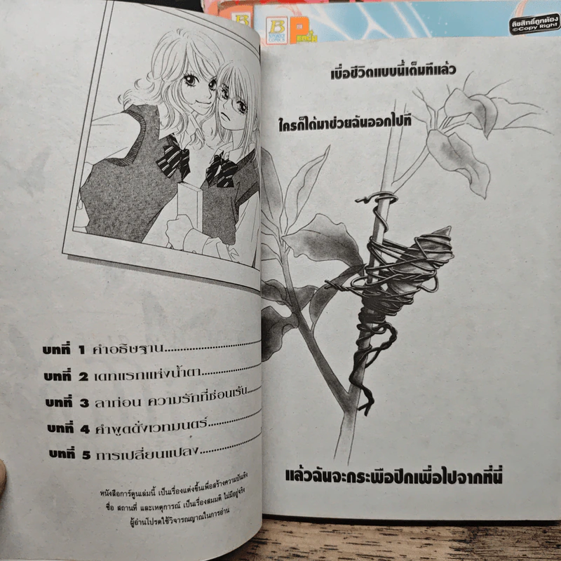 Papillon ผี้เสื้อกับดอกไม้ เล่ม 1-4 รูปที่ 6
