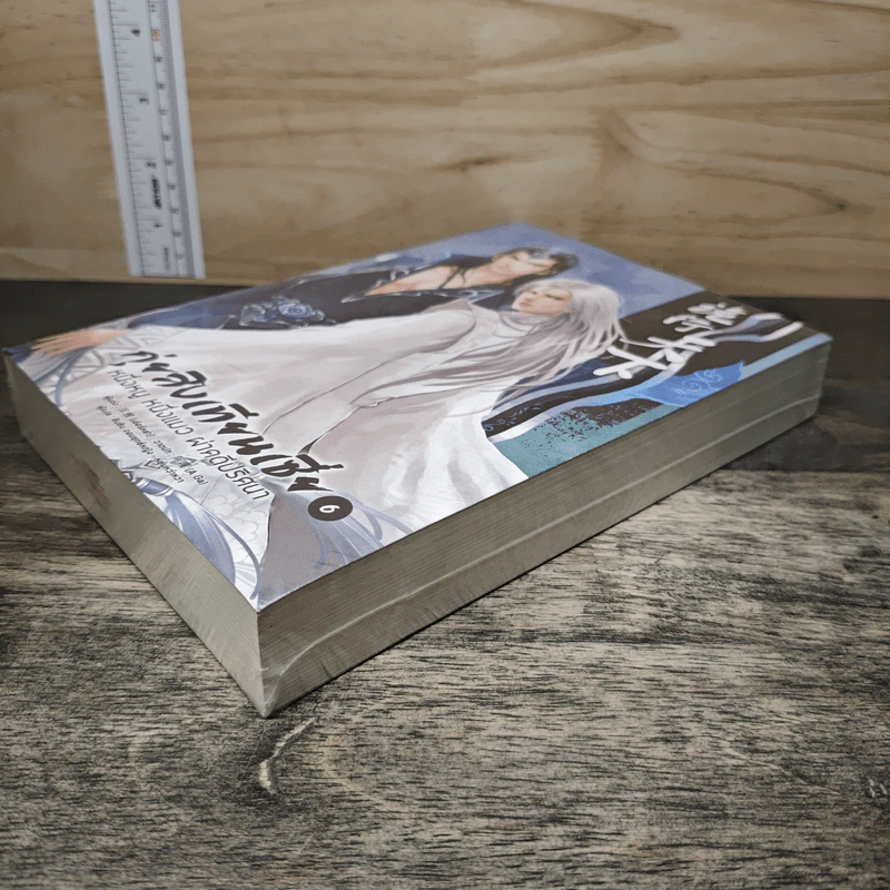 กุ่ยสิงเทียนเซี่ย เล่ม 6 - เอ่อร์หย่า, ชินชิน จอมยุทธ์หญิง รูปที่ 3
