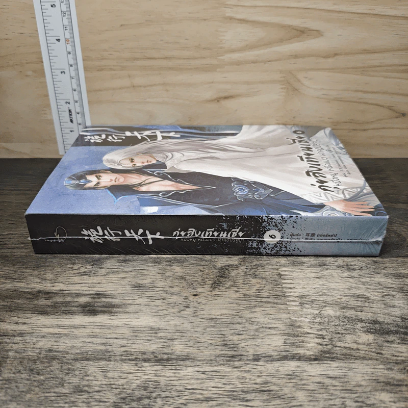 กุ่ยสิงเทียนเซี่ย เล่ม 6 - เอ่อร์หย่า, ชินชิน จอมยุทธ์หญิง รูปที่ 2