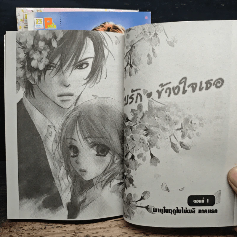 เก็บรักข้างใจเธอ 3 เล่มจบ รูปที่ 6