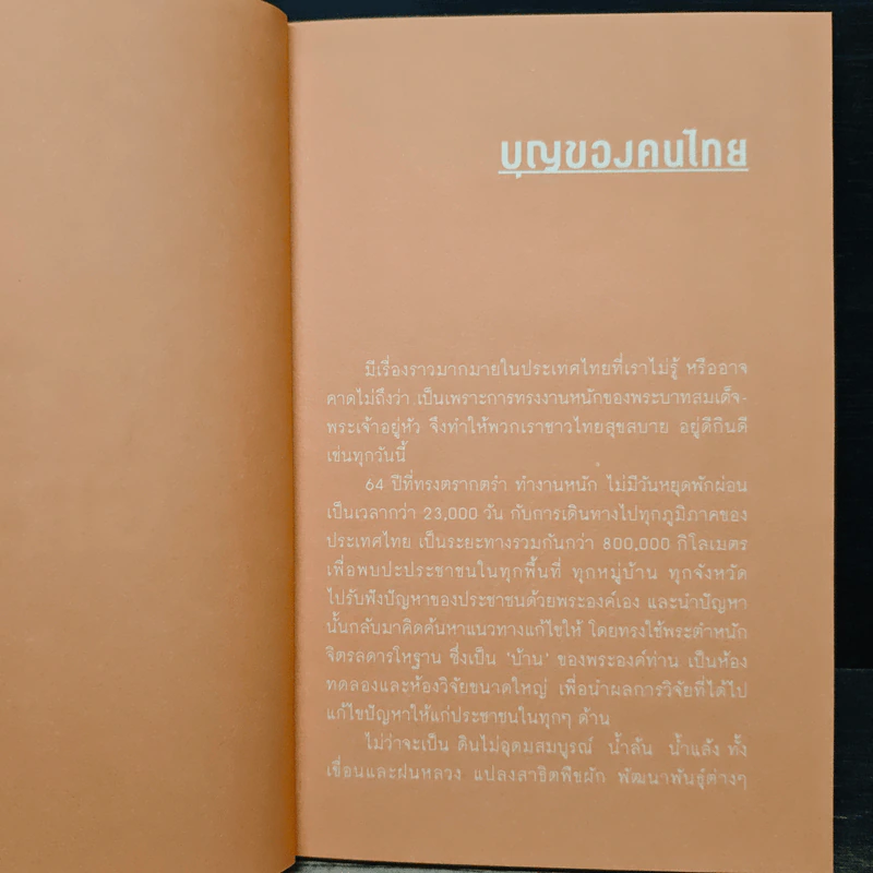 K.I.N.G Great รูปที่ 6