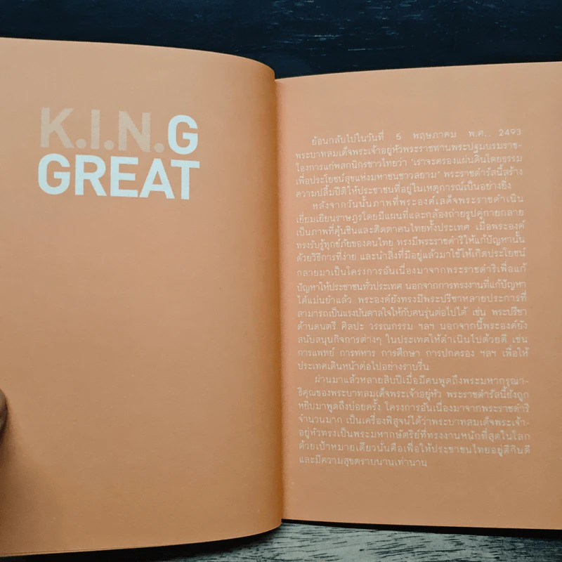 K.I.N.G Great รูปที่ 7