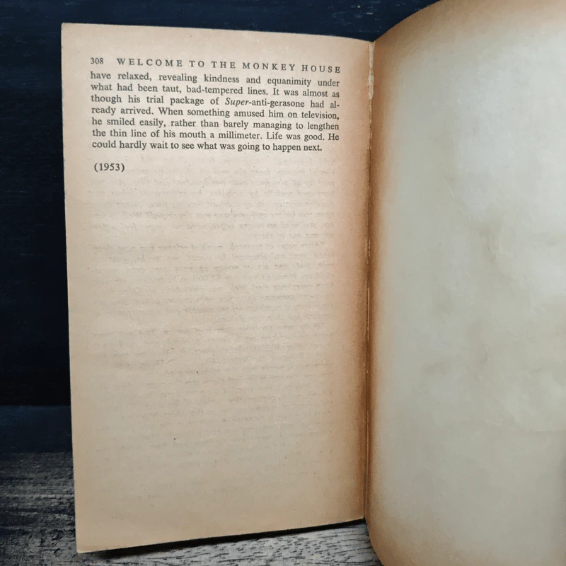 Welcome to the Monkey House - Kurt Vonnegut Jr. รูปที่ 10