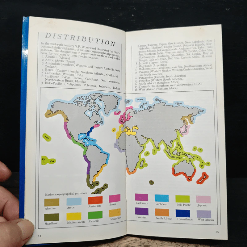 SHELLS OF THE WORLD รูปที่ 9
