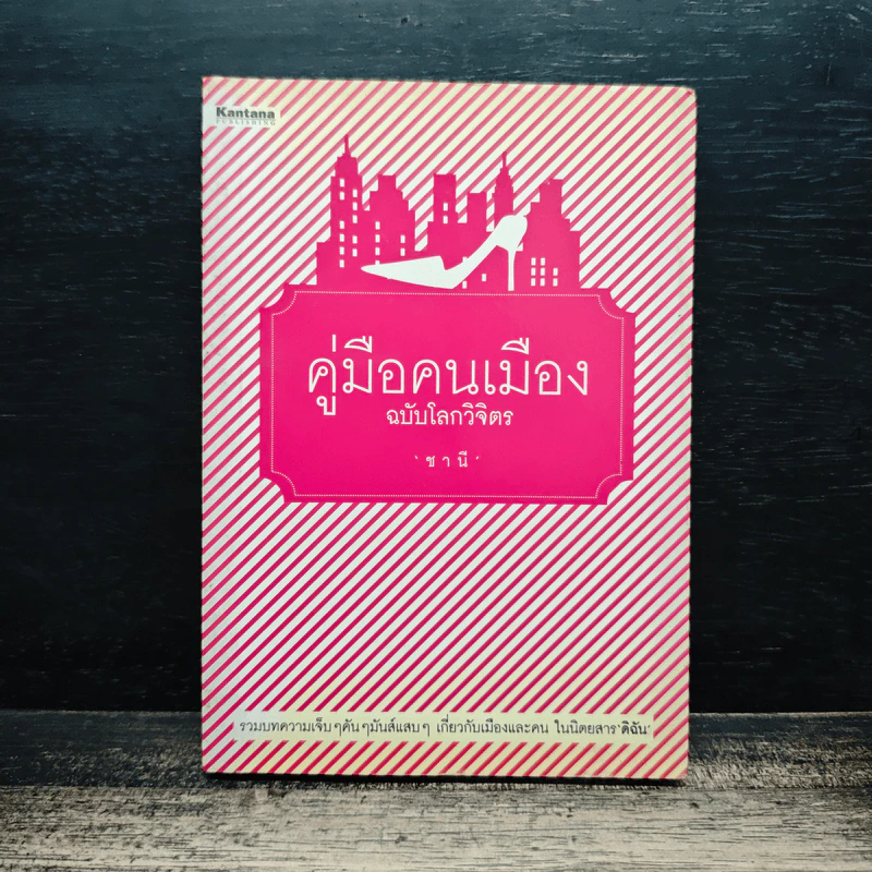 คู่มือคนเมือง ฉบับโลกวิจิตร - ชานี รูปที่ 1