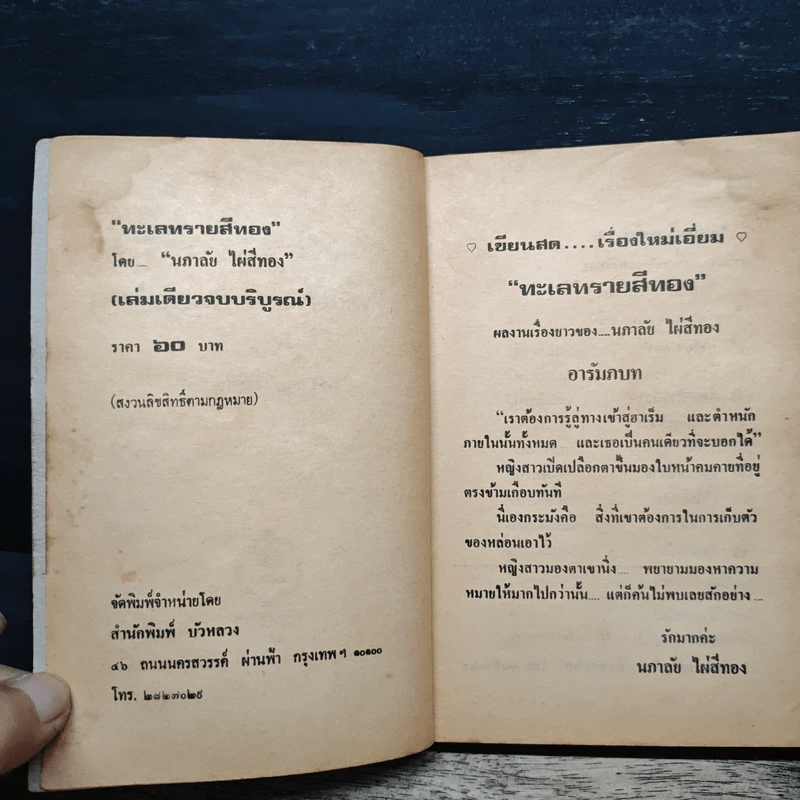 ทะเลทรายสีทอง - นภาลัย ไผ่สีทอง รูปที่ 6
