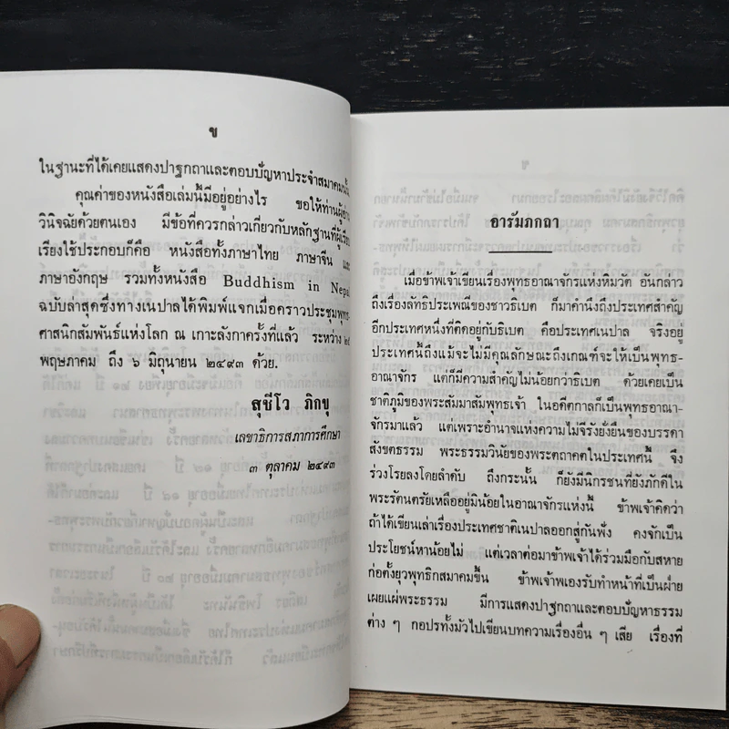 เนปาล ชาติภูมิของพระพุทธเจ้า รูปที่ 8
