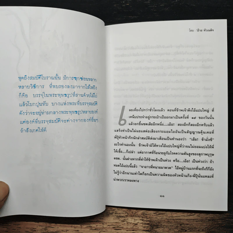ตามล่าหาสมบัติ - อ้าย หัวเนติ รูปที่ 9