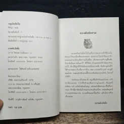 กฎรักปักใจ - พิชญา รูปที่ 6