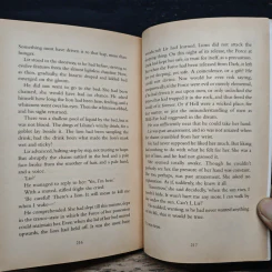 The Castle of Dark - Tanith Lee รูปที่ 9