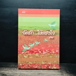 จัดรัก...ให้ตรงใจ - ปาย