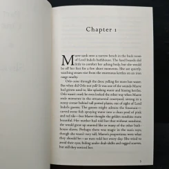 The Healer's Keep - Victoria Hanley รูปที่ 8