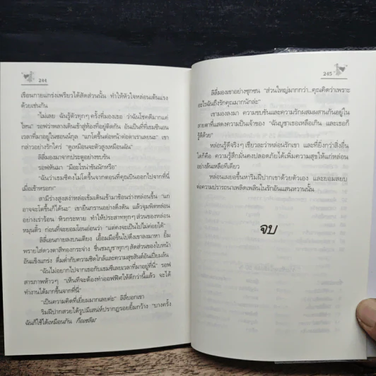 เงารัก เงาลวง - สีตา รูปที่ 8