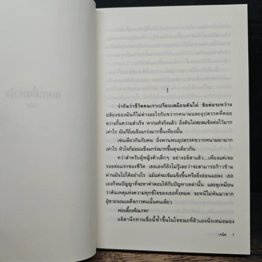 ดอกเบี้ยหัวใจ - เจนิส รูปที่ 7