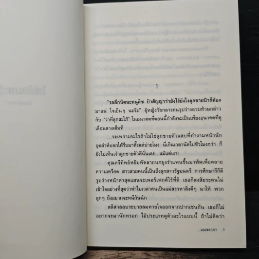 ไฟล้อมตะวัน - มณชยาภา รูปที่ 7
