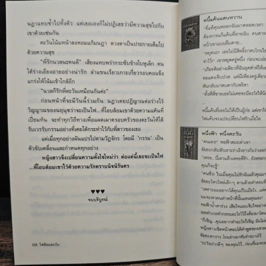 ไฟล้อมตะวัน - มณชยาภา รูปที่ 8