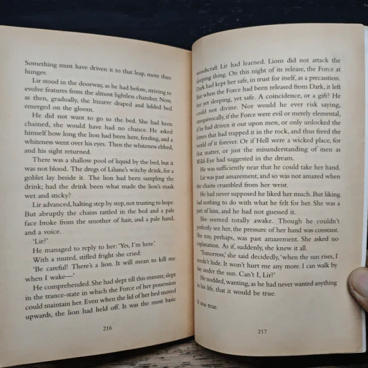 The Castle of Dark - Tanith Lee รูปที่ 9