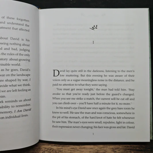 I Am David - Anne Holm รูปที่ 7