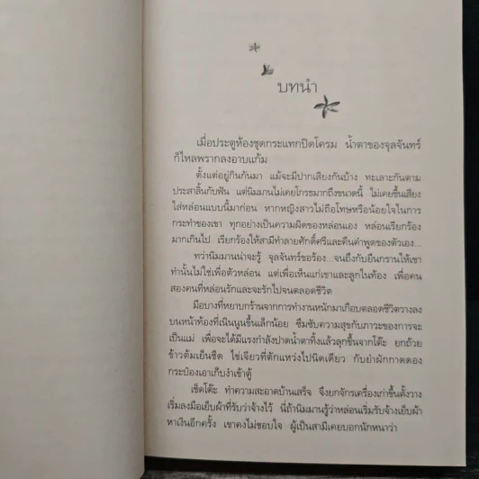 พรายปรารถนา - กิ่งฉัตร รูปที่ 7